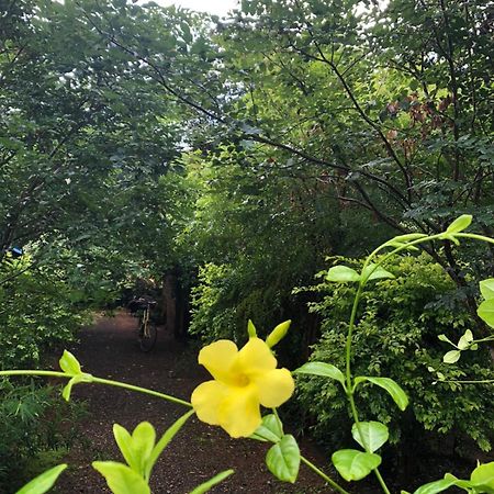 Forest Villa Nature Resort Anuradhapura Exterior photo