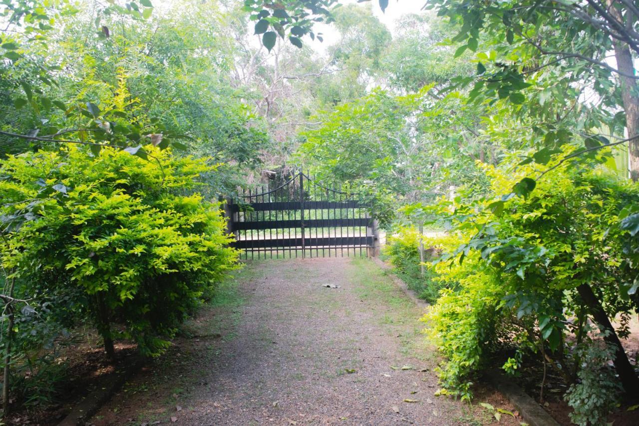 Forest Villa Nature Resort Anuradhapura Exterior photo
