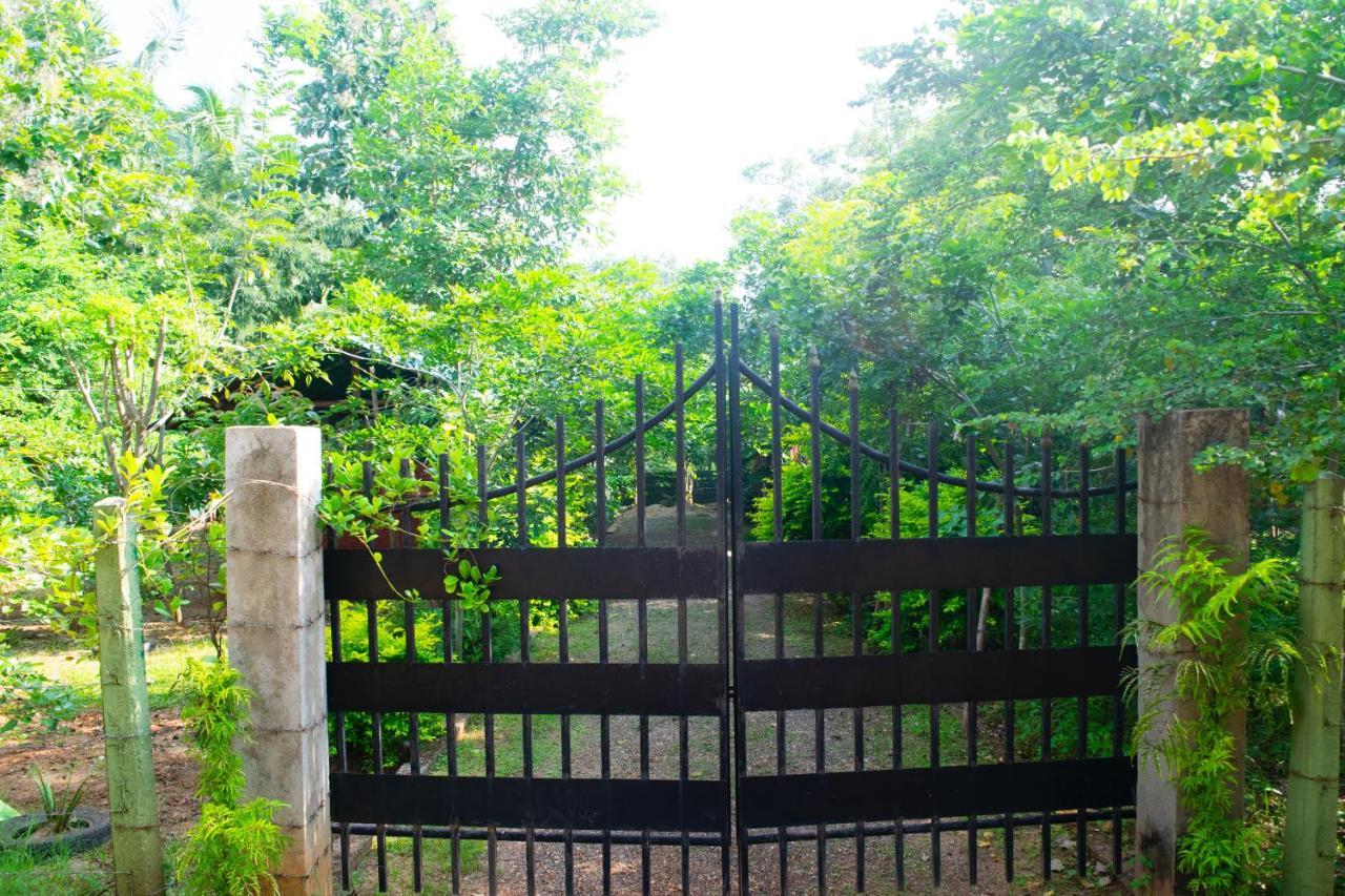 Forest Villa Nature Resort Anuradhapura Exterior photo