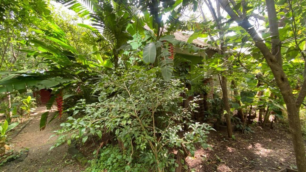 Forest Villa Nature Resort Anuradhapura Exterior photo