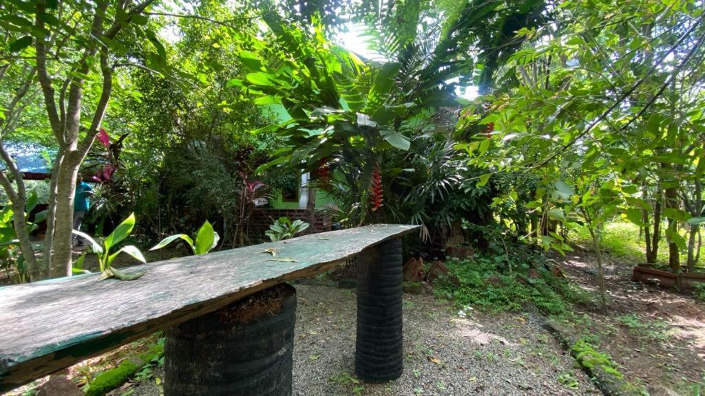Forest Villa Nature Resort Anuradhapura Exterior photo