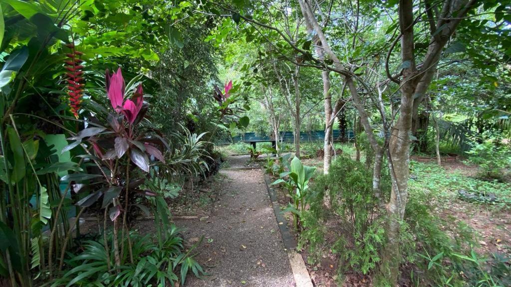Forest Villa Nature Resort Anuradhapura Exterior photo