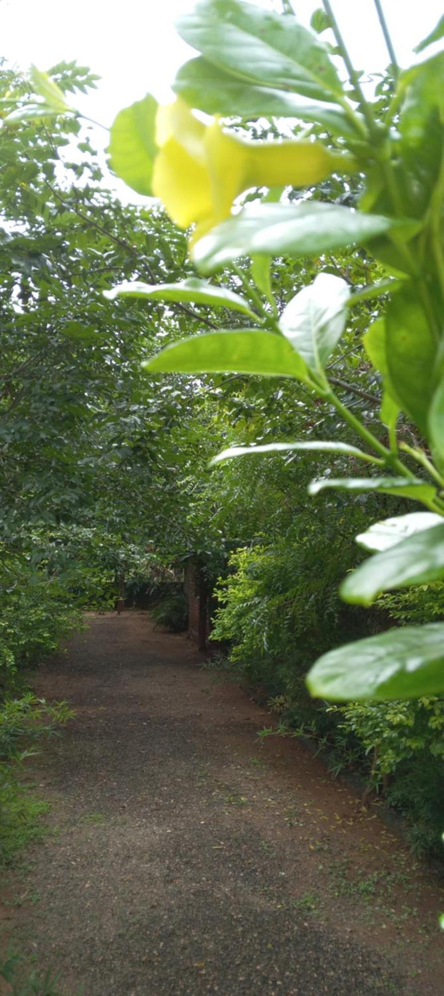 Forest Villa Nature Resort Anuradhapura Exterior photo