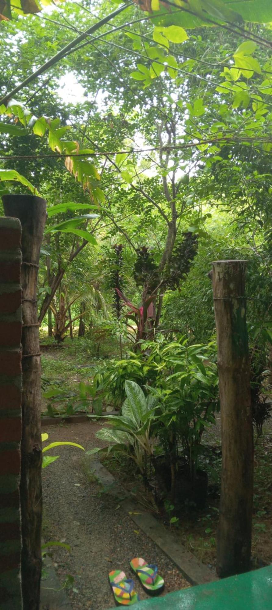 Forest Villa Nature Resort Anuradhapura Exterior photo