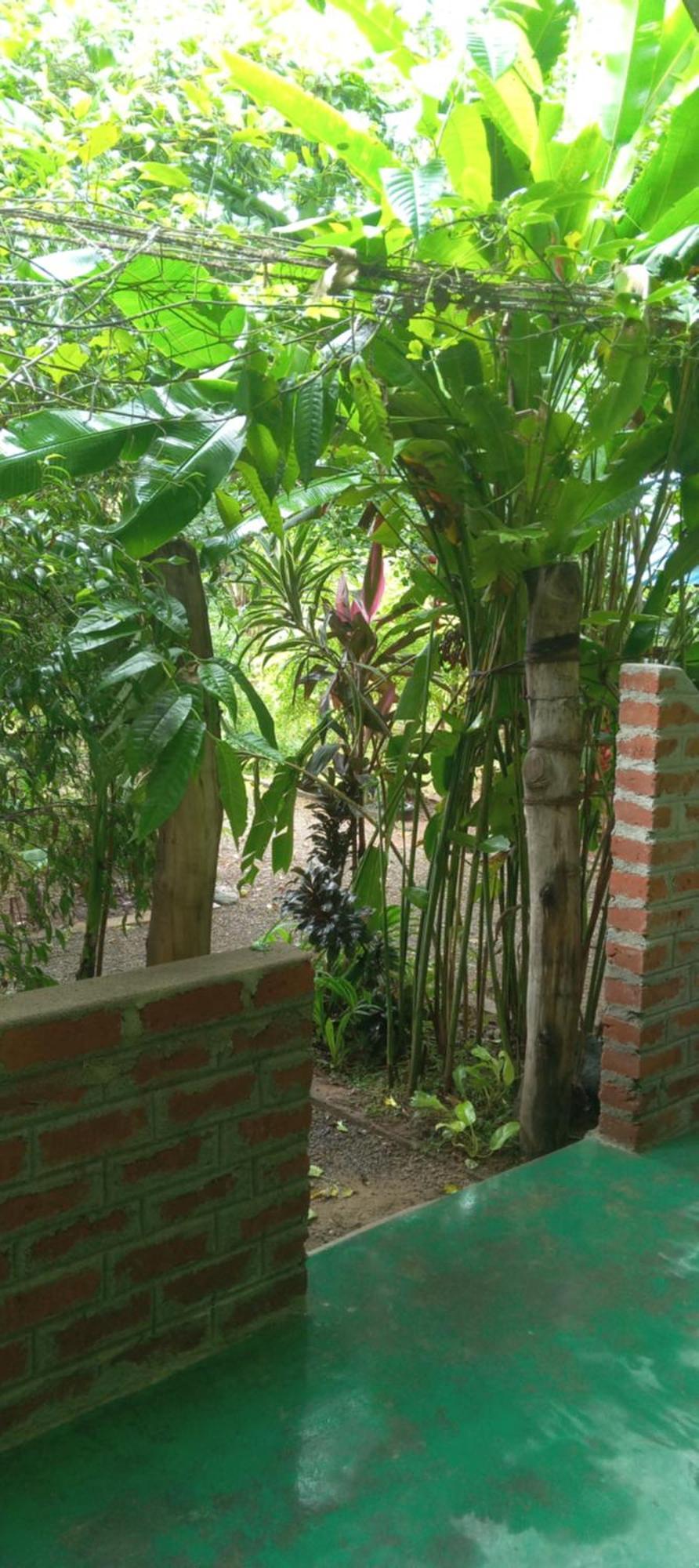 Forest Villa Nature Resort Anuradhapura Exterior photo