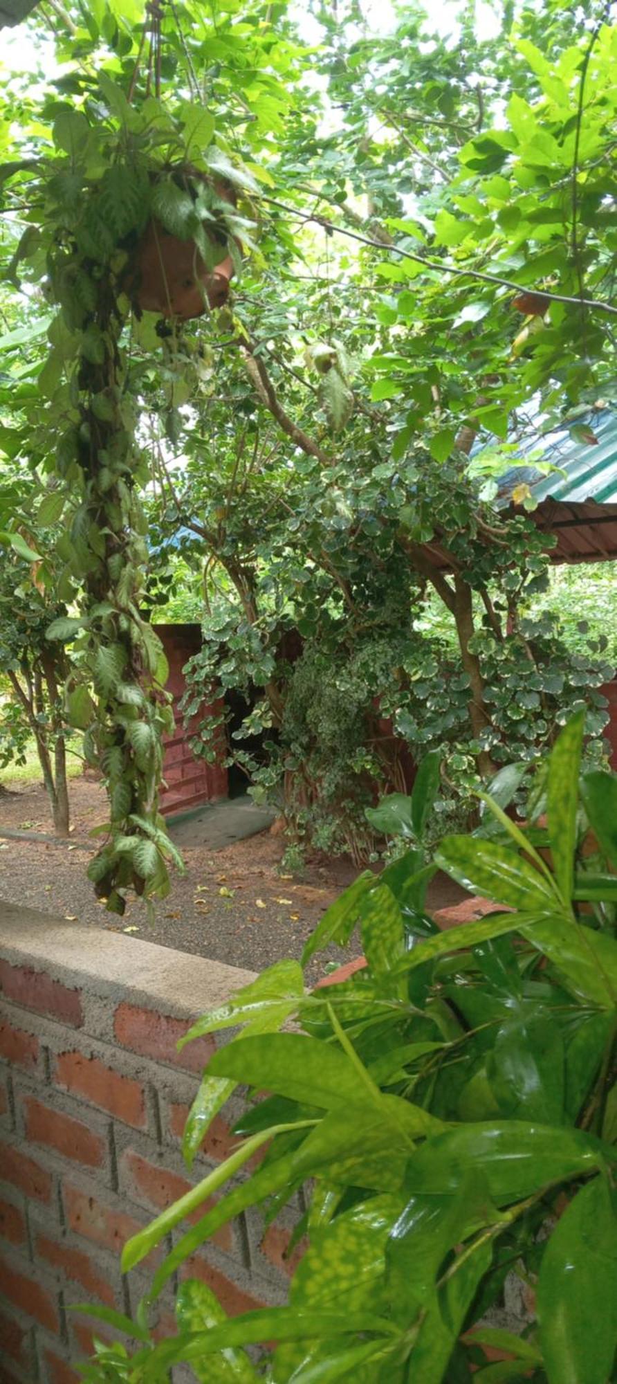Forest Villa Nature Resort Anuradhapura Exterior photo