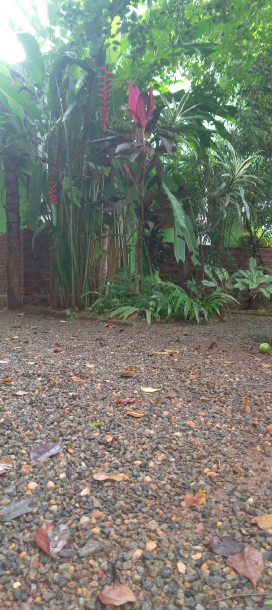 Forest Villa Nature Resort Anuradhapura Exterior photo