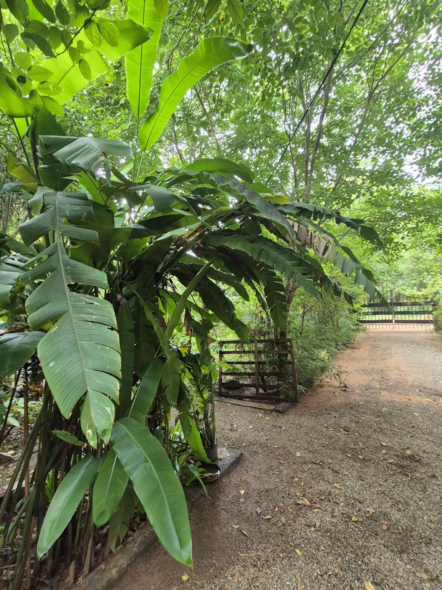 Forest Villa Nature Resort Anuradhapura Exterior photo
