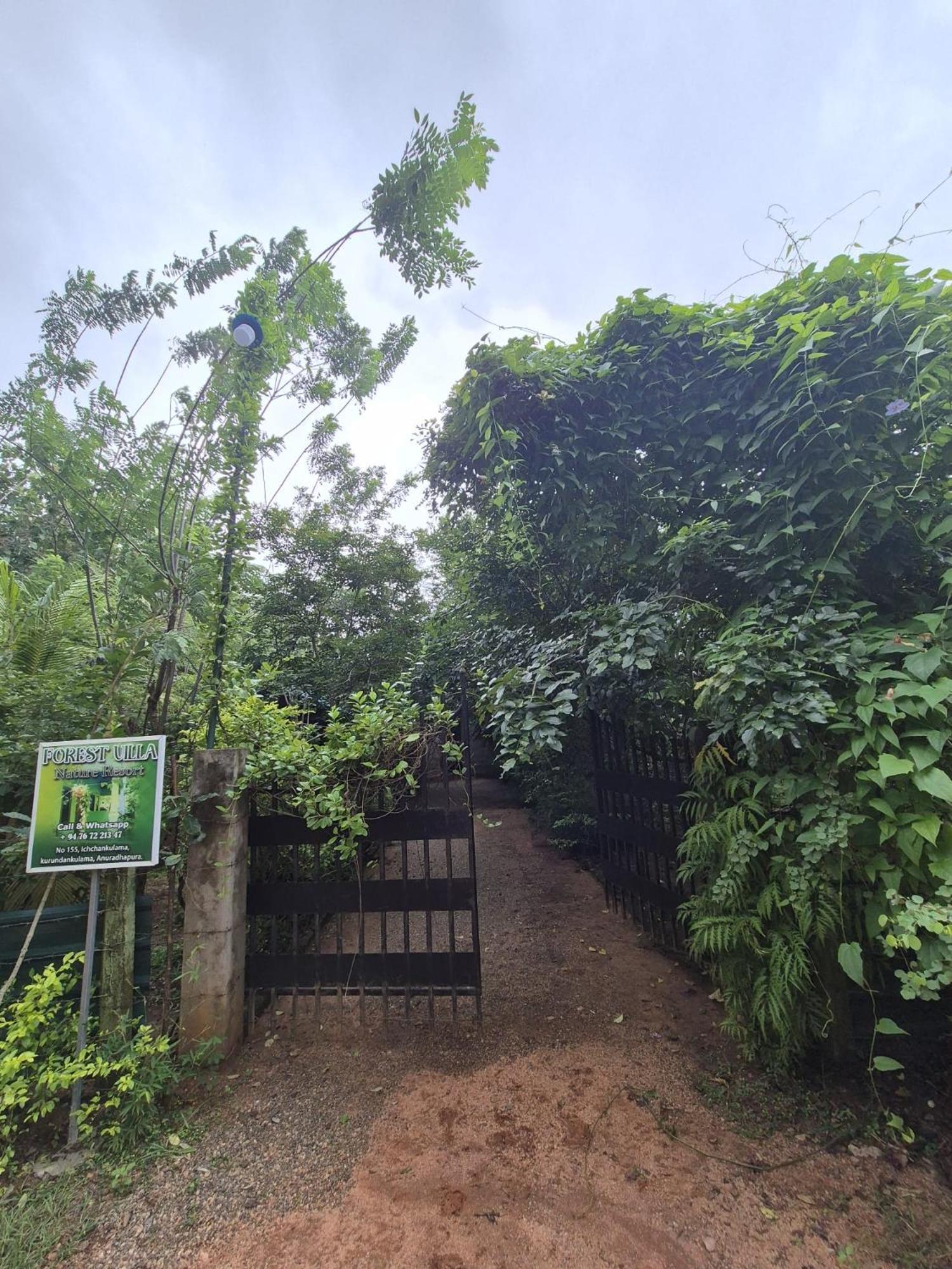 Forest Villa Nature Resort Anuradhapura Exterior photo