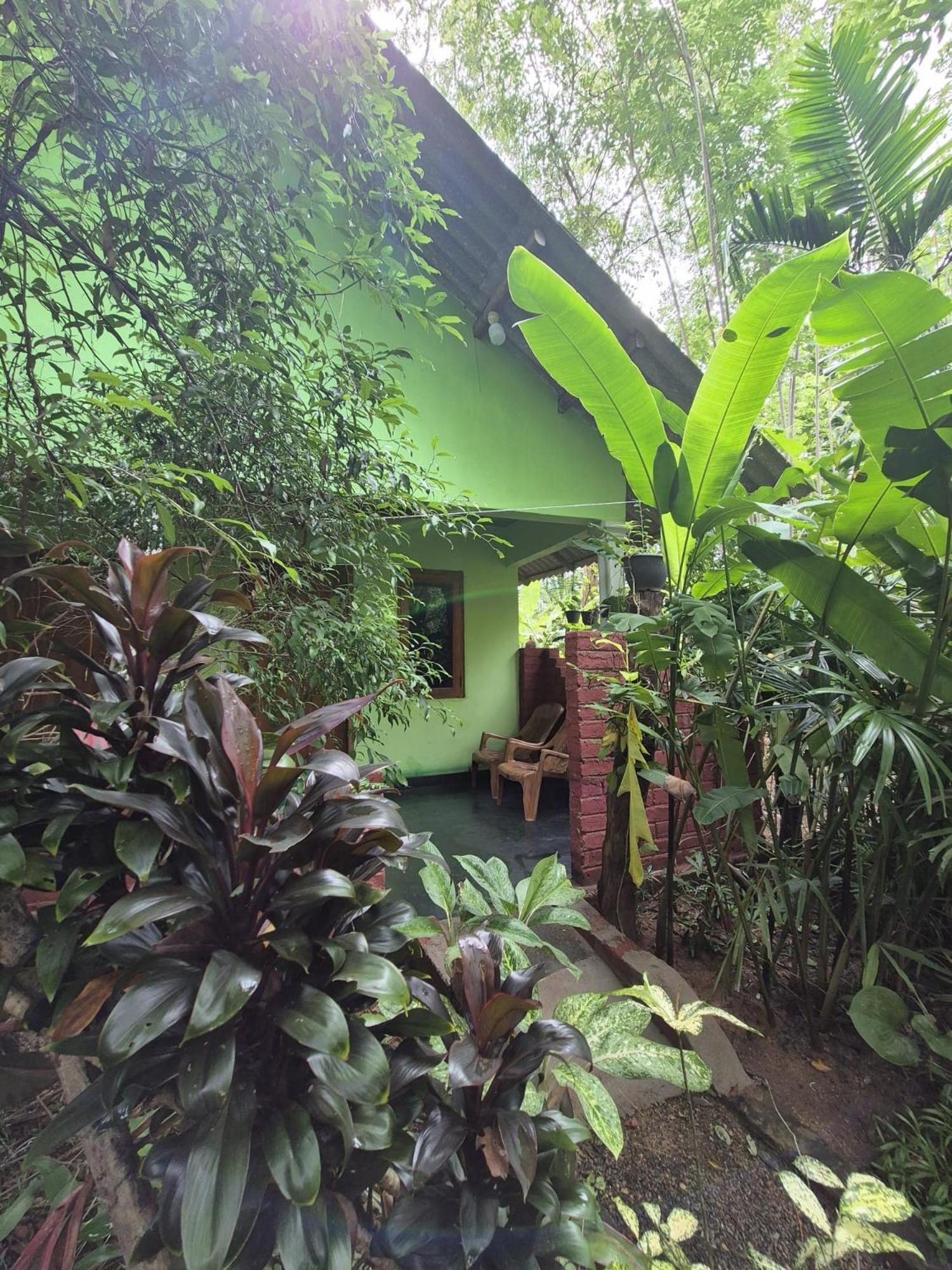 Forest Villa Nature Resort Anuradhapura Exterior photo